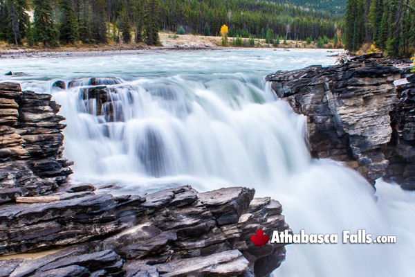 Athabasca Falls During March